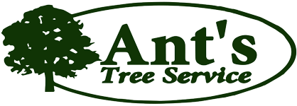 Ant's Tree Services
